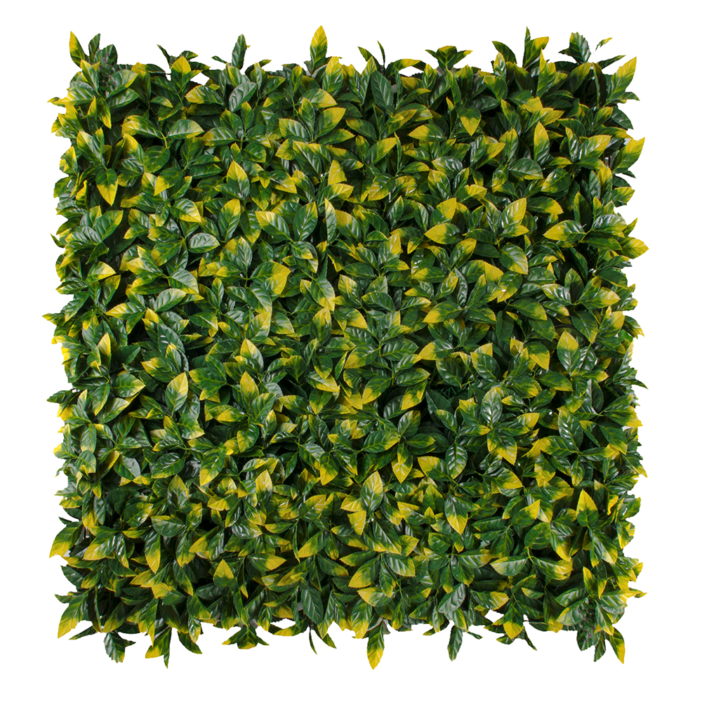 habite_follajeartificial_CrotoBrasileño Croto Brasileño